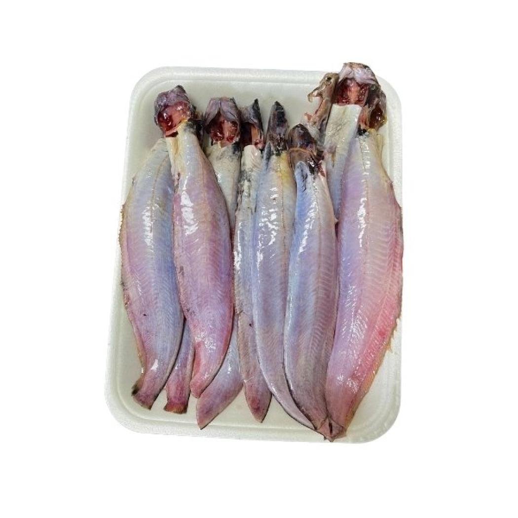 দেশি শিং মাছ